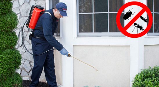 Araklı Uçan Haşere İlaçlama böcek ilaçlama ve haşere kontrolü — ilaclama-tr.com